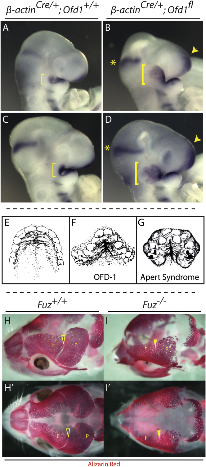 Figure 6