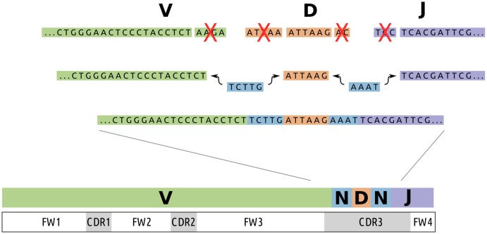 Fig 1