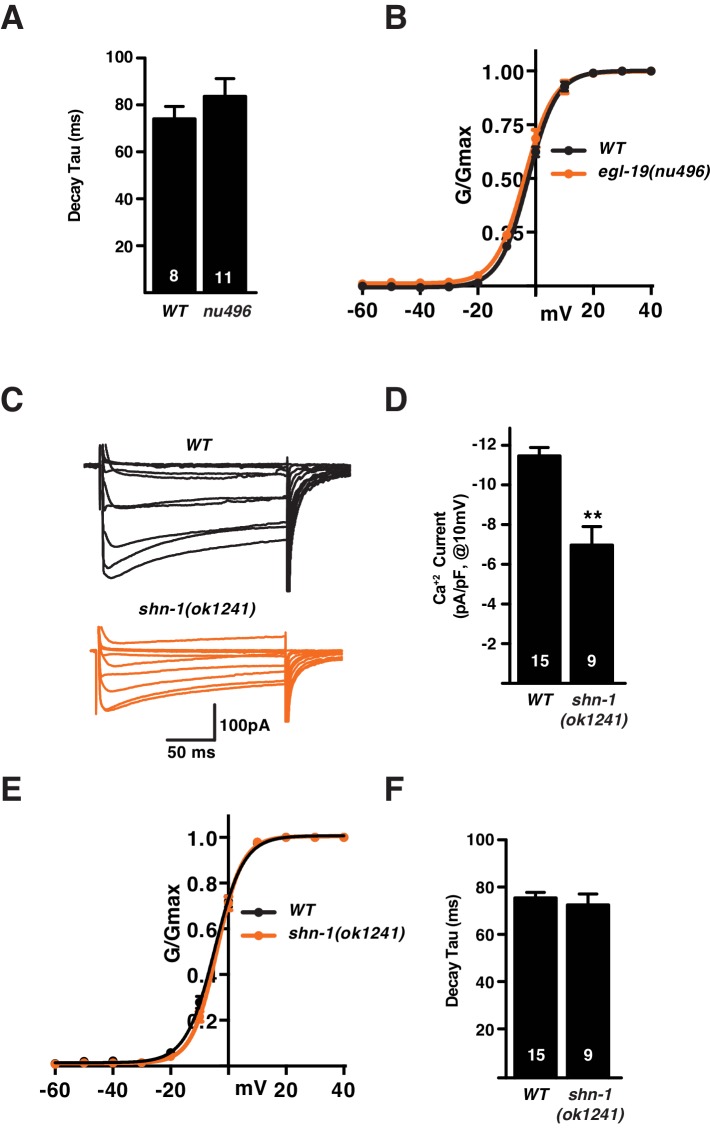 Figure 2—figure supplement 1.