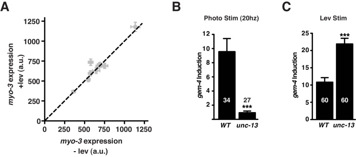 Figure 5—figure supplement 1.