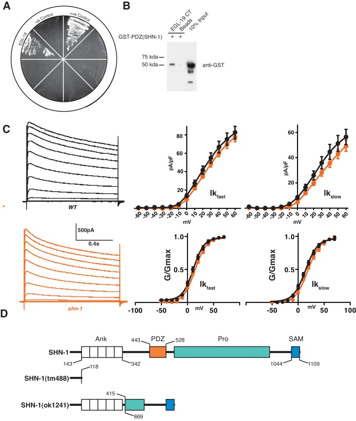 Figure 1—figure supplement 1.