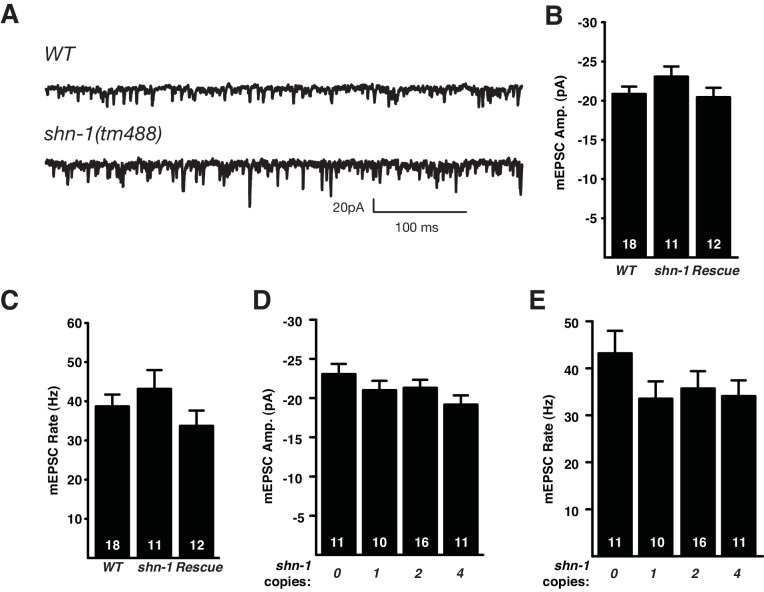 Figure 7—figure supplement 1.