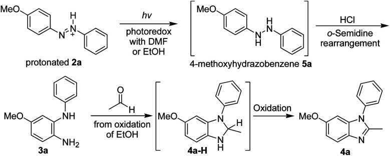 Scheme 6