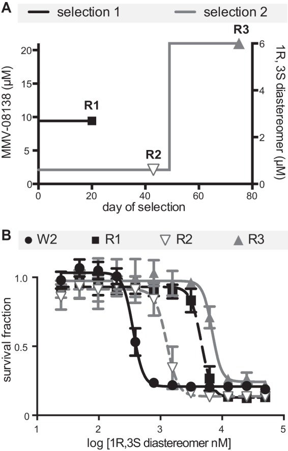 FIG 2