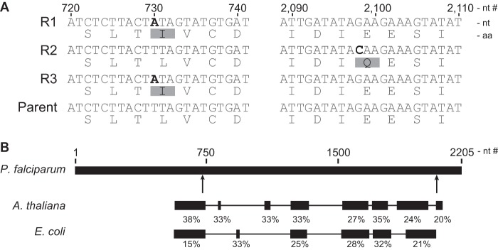 FIG 3