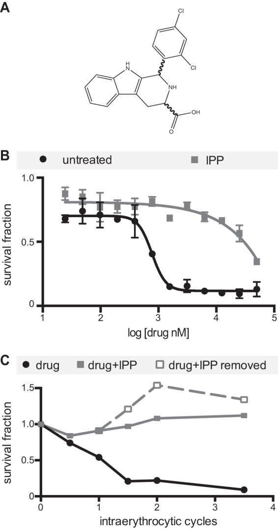 FIG 1