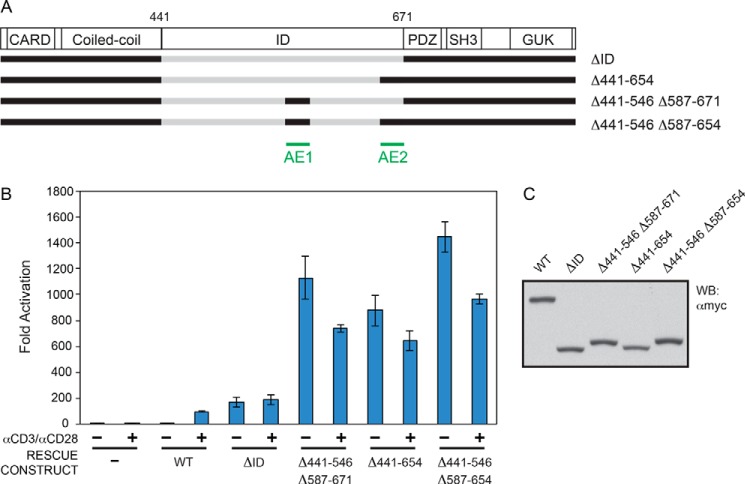 FIGURE 6.