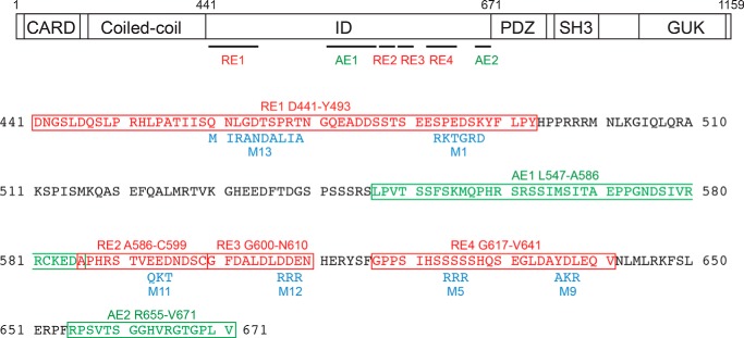 FIGURE 2.