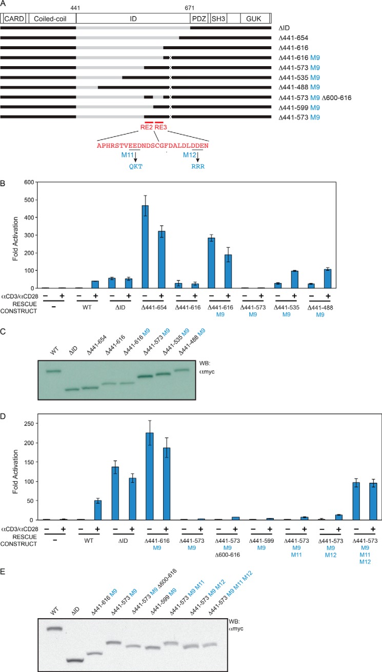 FIGURE 5.