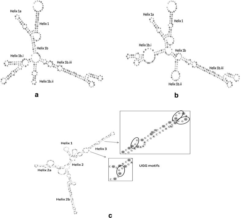 Fig. 3