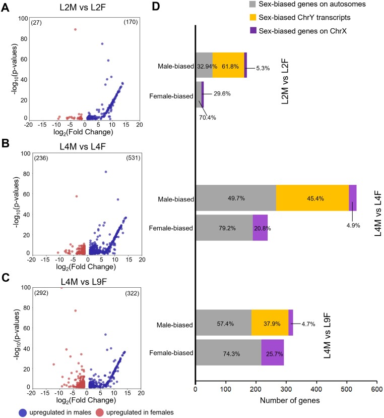 Volcano plots and histograms showing the results of differential gene expression analysis.