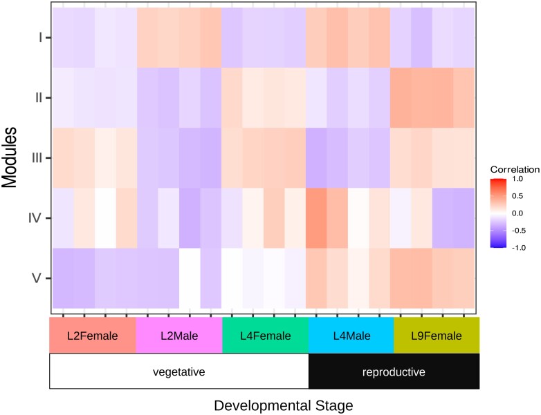 A heatmap showing expression modules determined by WGCNA.