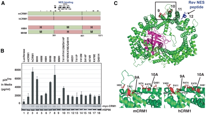 Figure 6