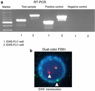 Fig. 7