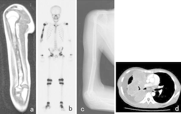 Fig. 10