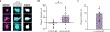 Extended Data Fig. 10: