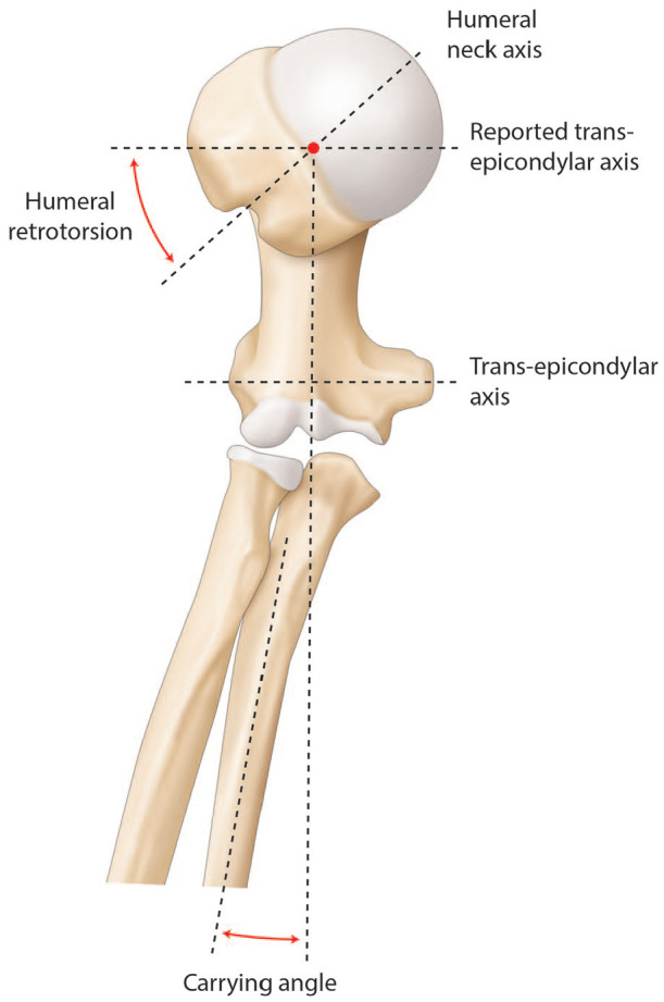 Fig. 5