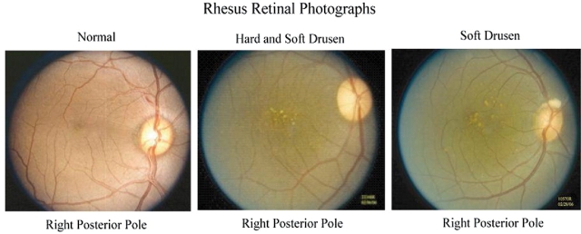 Figure 1.