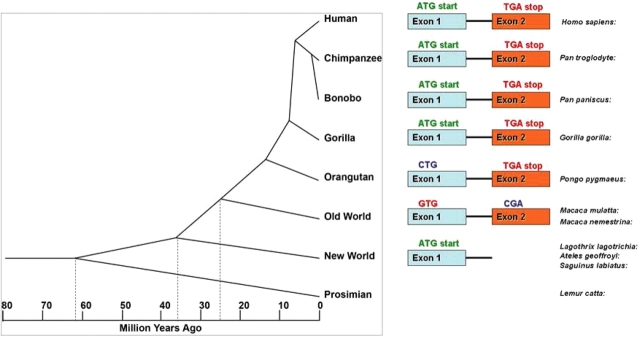 Figure 5.