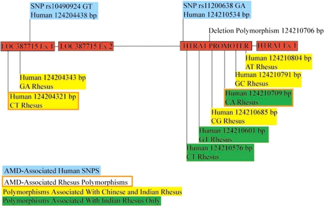 Figure 2.