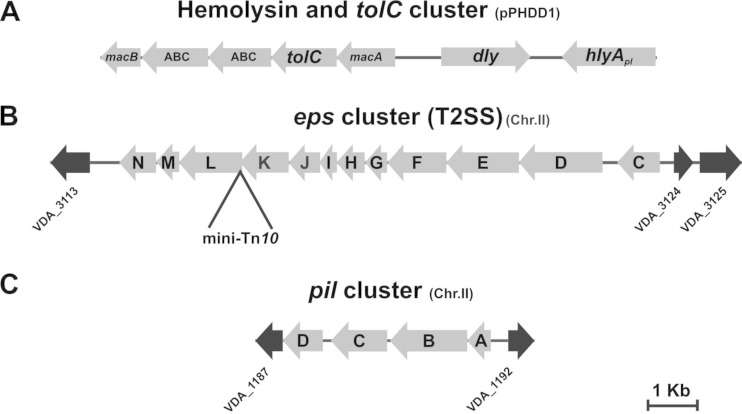 FIG 1