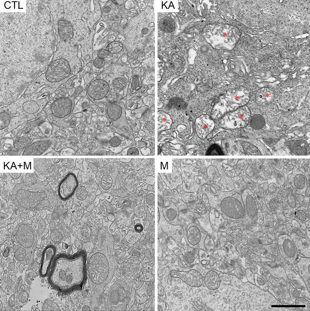 Fig. 2