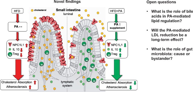 Graphical Abstract