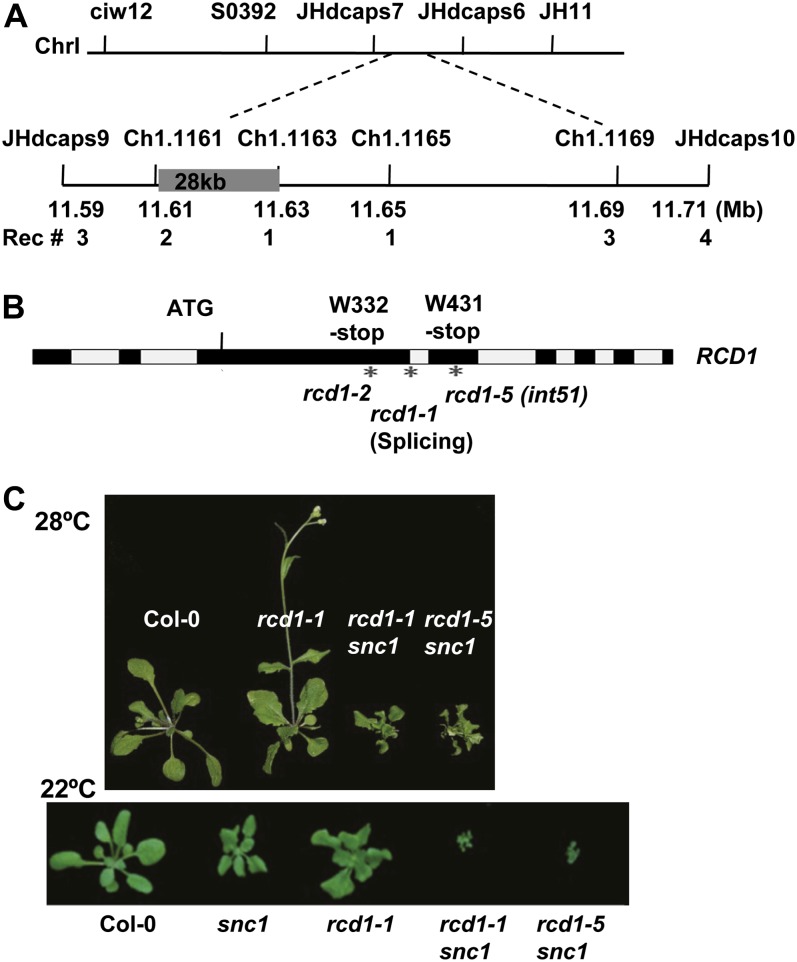 Figure 2.