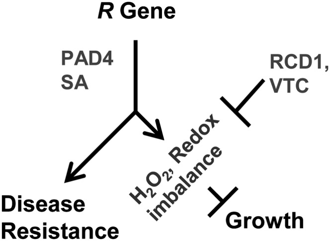 Figure 7.