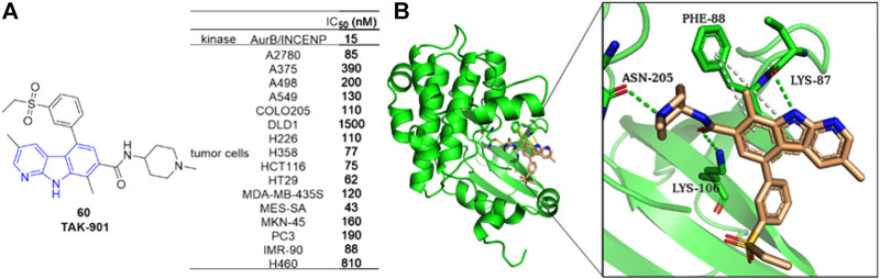 FIGURE 13