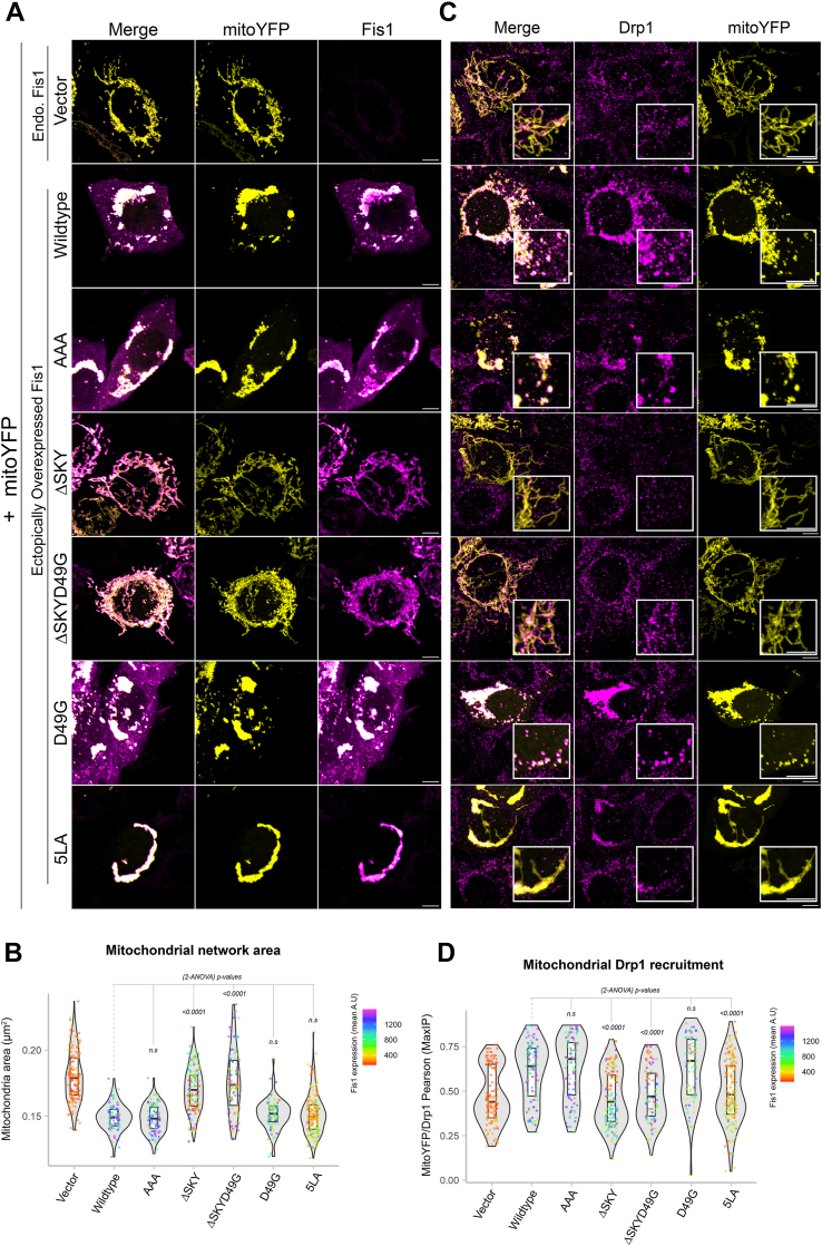 Figure 3