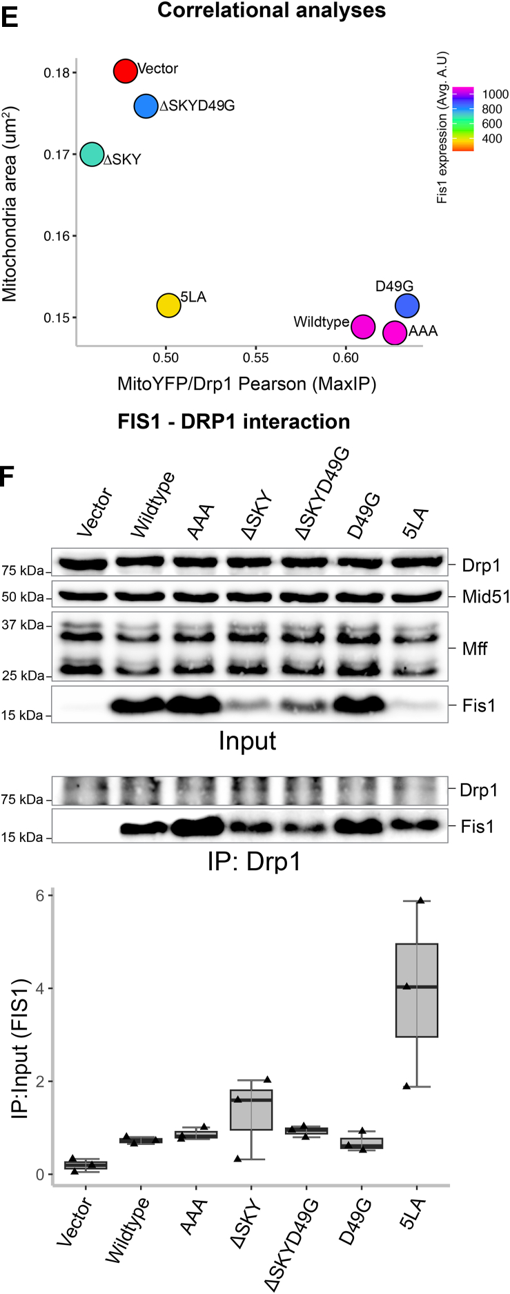 Figure 3