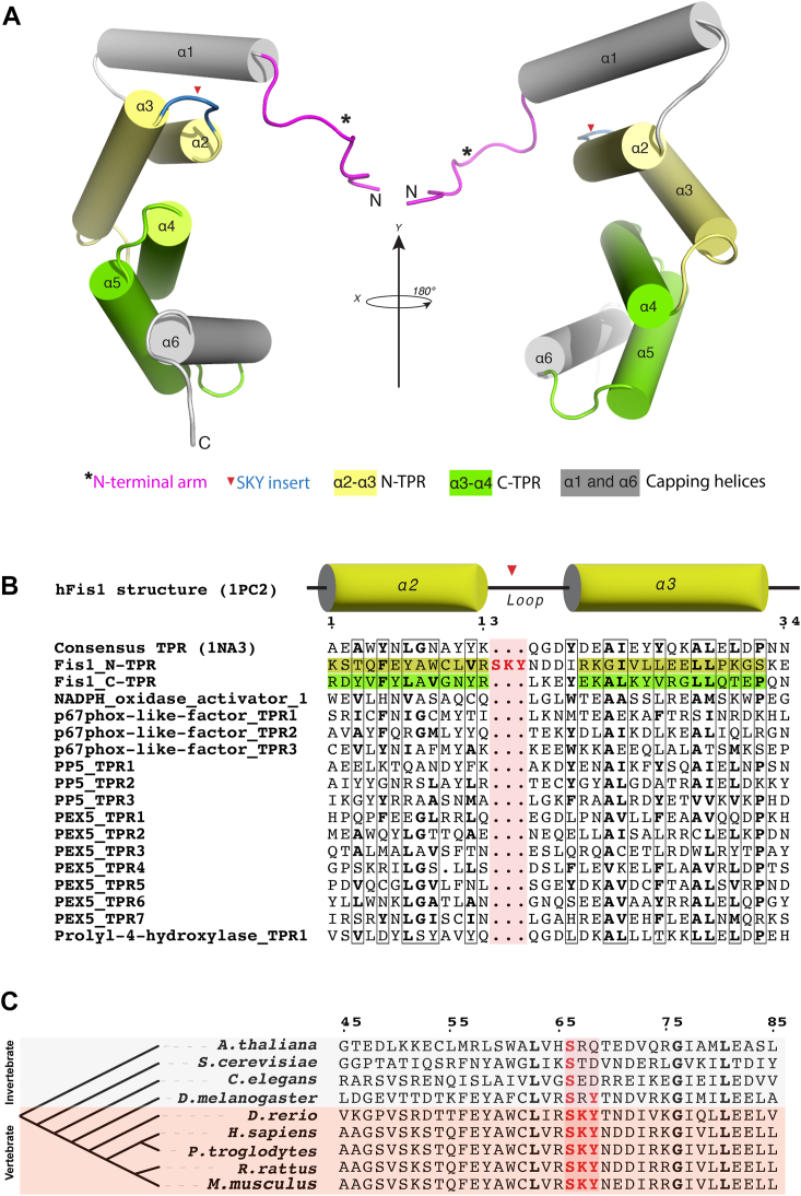 Figure 1