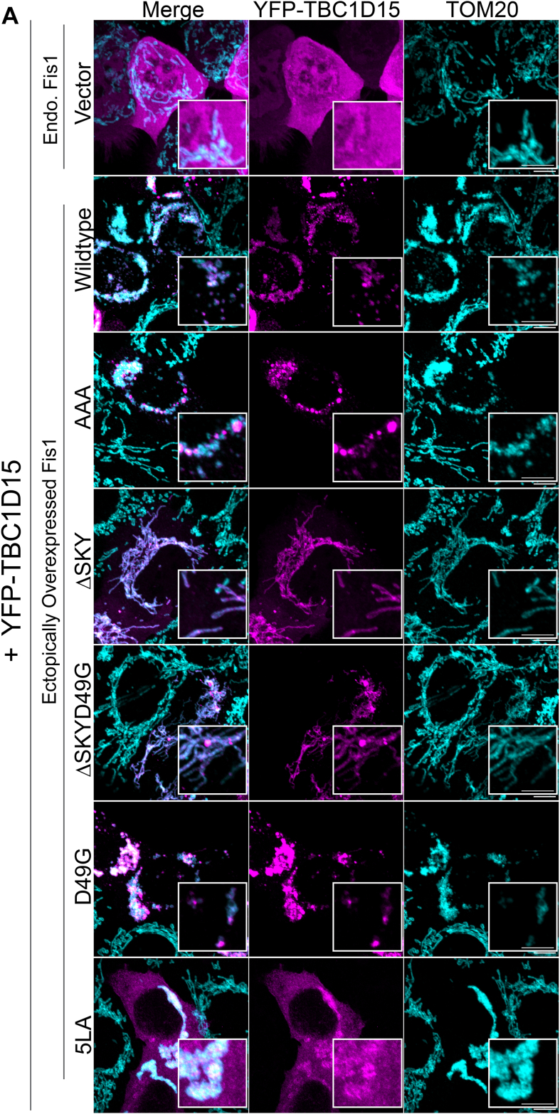 Figure 4