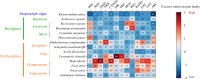 Gene numbers across land plants for enzyme families important in flavonoid metabolism.