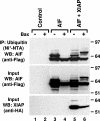 FIG. 6.