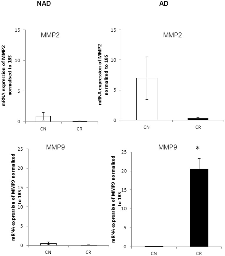 Figure 11