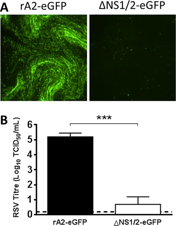 FIG 6