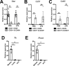 Figure 1—figure supplement 1.
