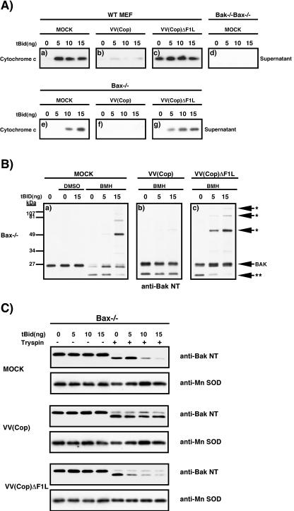 FIG. 8.