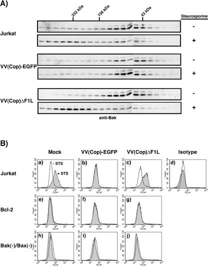 FIG. 7.