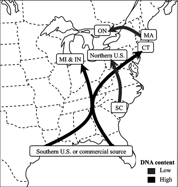 Figure 7