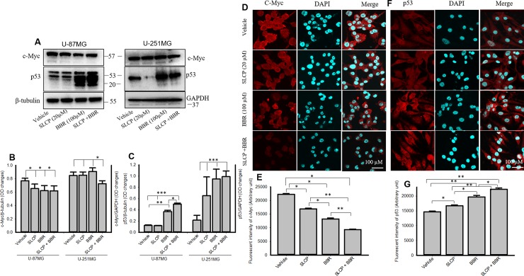 Fig 9