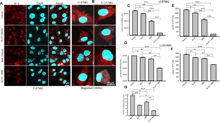 Fig 6