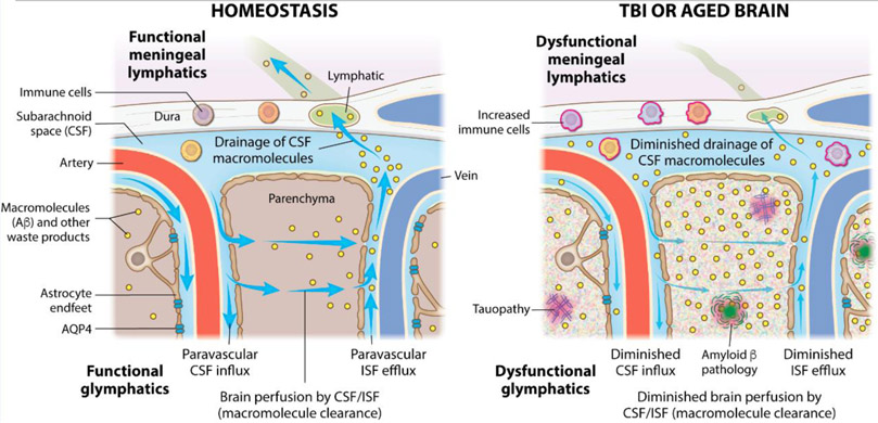 Key Figure, Figure 5.