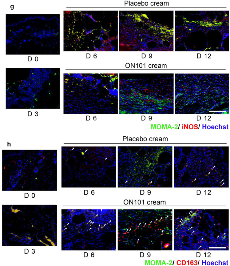 Figure 3