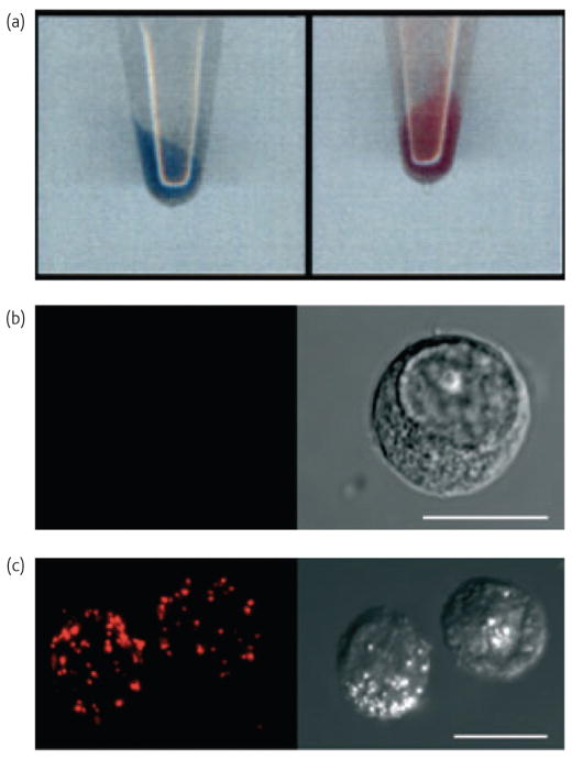 Fig. 8