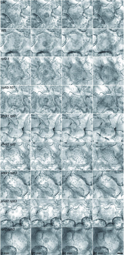 Figure 3.