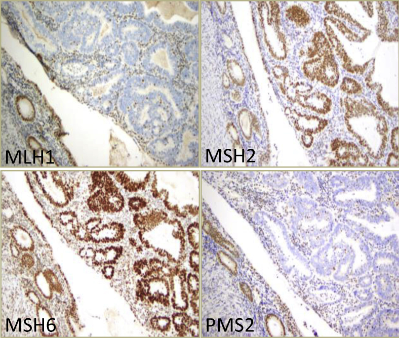 Figure 3