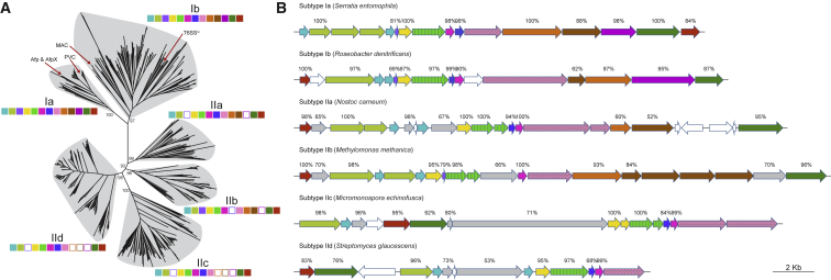 Figure 4